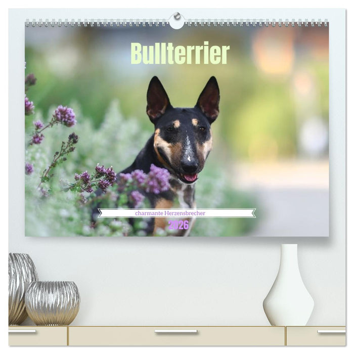 Bullterrier - charmante Herzensbrecher (CALVENDO Premium Wandkalender 2026)