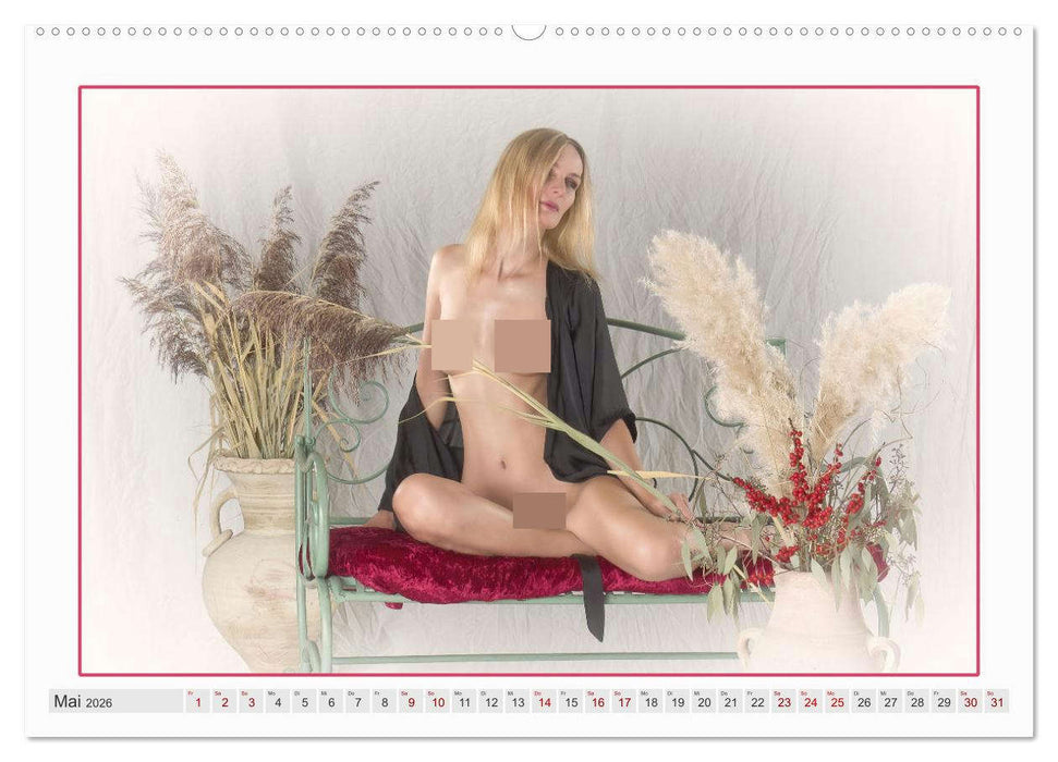 Subtile Erotik (CALVENDO Premium Wandkalender 2026)