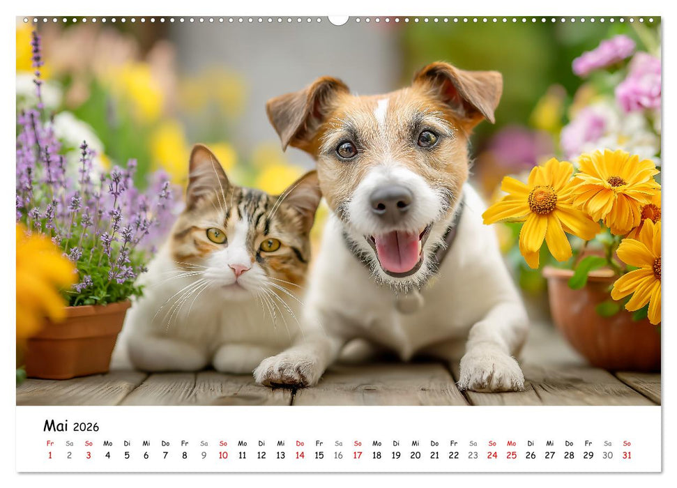 JACK RUSSEL - Kleine Hunde mit großem Charakter (CALVENDO Wandkalender 2026)