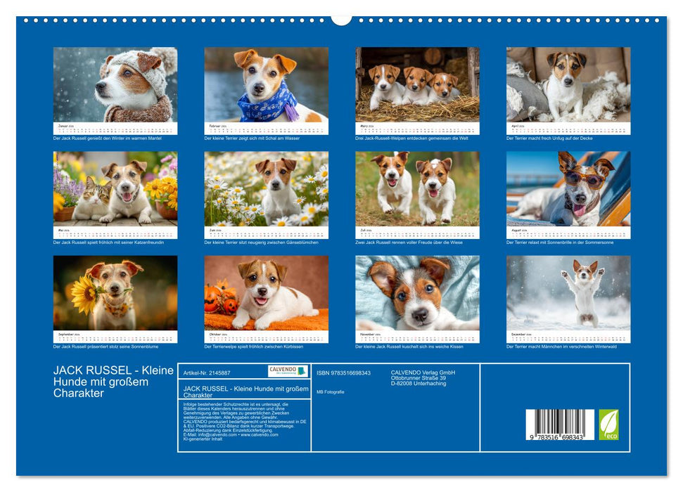 JACK RUSSEL - Kleine Hunde mit großem Charakter (CALVENDO Premium Wandkalender 2026)