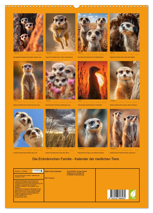 Die Erdmännchen Familie - Kalender der niedlichen Tiere (CALVENDO Premium Wandkalender 2026)