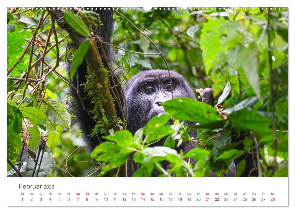 Tierwelten UGANDA (CALVENDO Premium Wandkalender 2026)