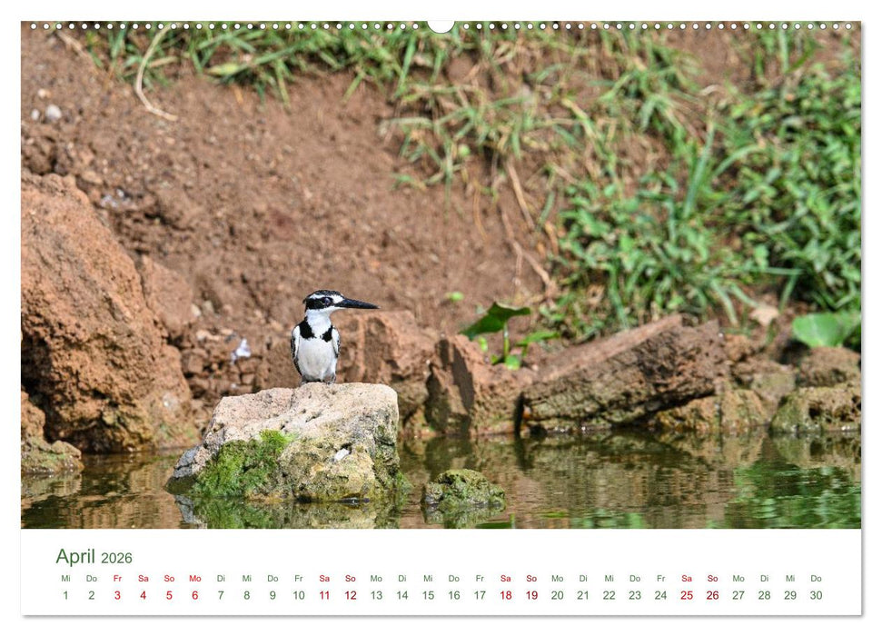 Tierwelten UGANDA (CALVENDO Premium Wandkalender 2026)