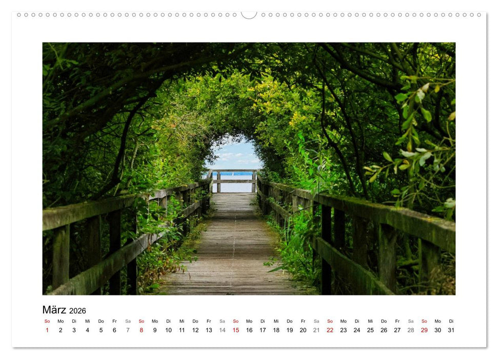 Steinhuder Meer Impressionen (CALVENDO Premium Wandkalender 2026)