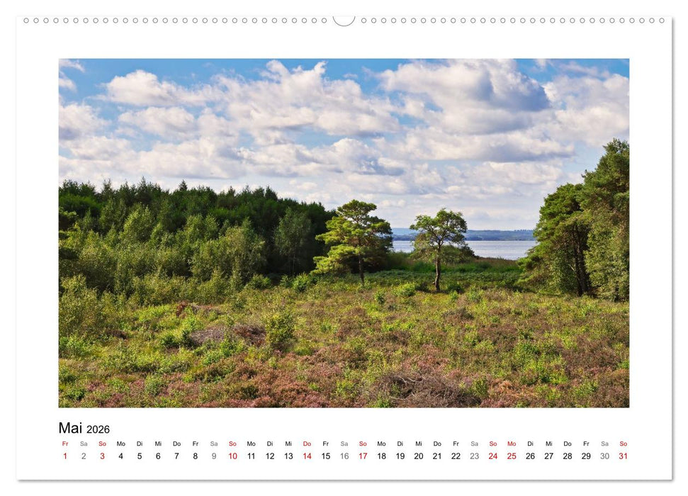 Steinhuder Meer Impressionen (CALVENDO Premium Wandkalender 2026)