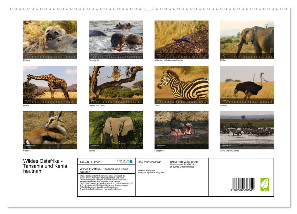 Wildes Ostafrika - Tansania und Kenia hautnah (CALVENDO Premium Wandkalender 2026)