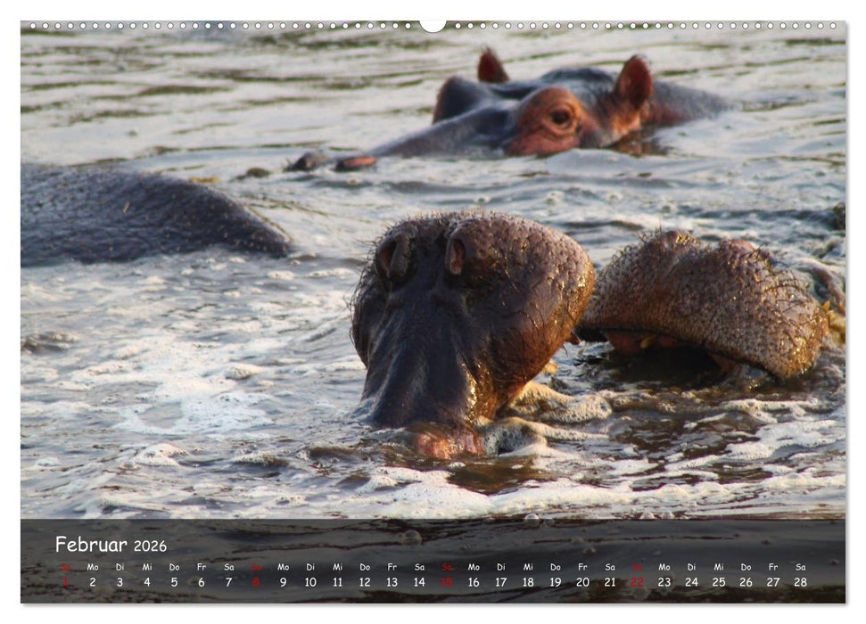 Wildes Ostafrika - Tansania und Kenia hautnah (CALVENDO Premium Wandkalender 2026)