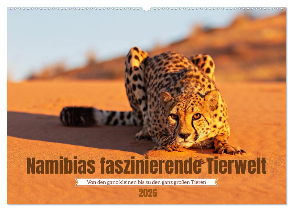 Namibias faszinierende Tierwelt (CALVENDO Wandkalender 2026)