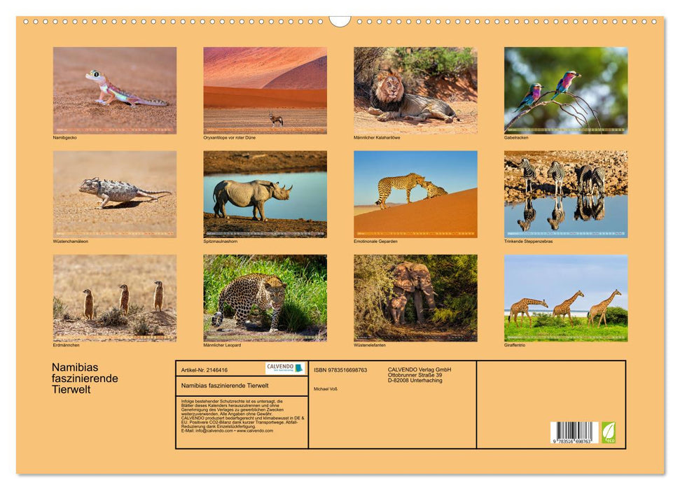 Namibias faszinierende Tierwelt (CALVENDO Wandkalender 2026)