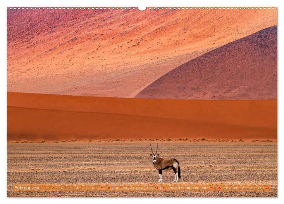 Namibias faszinierende Tierwelt (CALVENDO Wandkalender 2026)