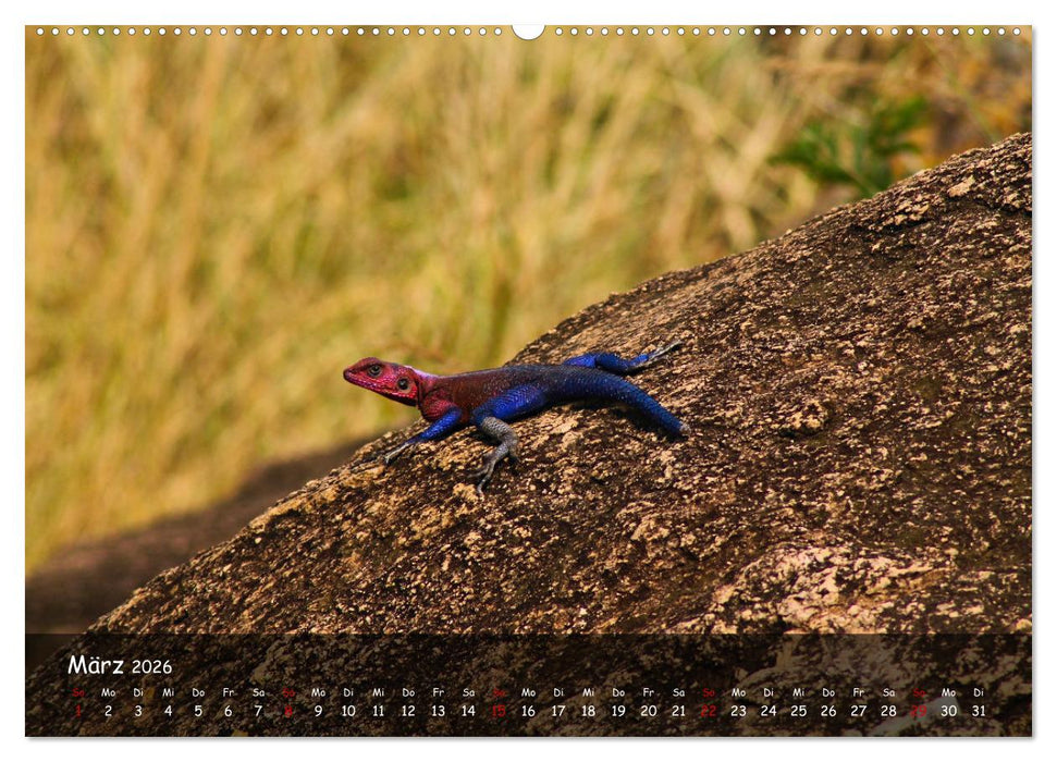 Wildes Ostafrika - Tansania und Kenia hautnah (CALVENDO Wandkalender 2026)