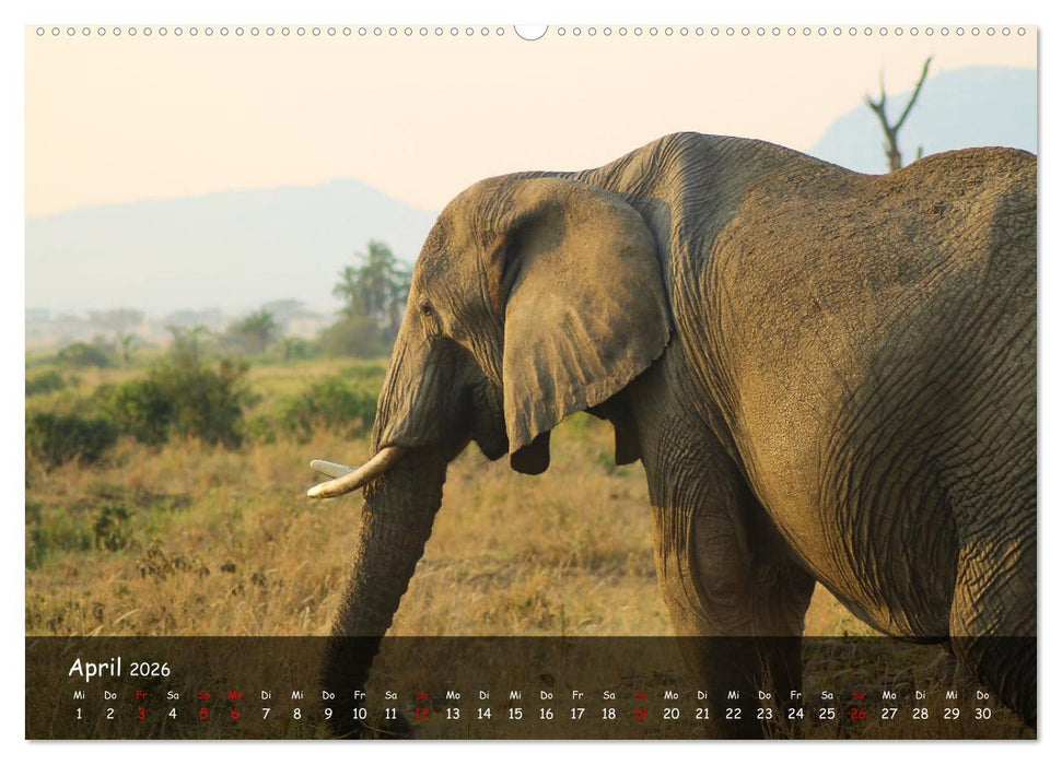 Wildes Ostafrika - Tansania und Kenia hautnah (CALVENDO Wandkalender 2026)