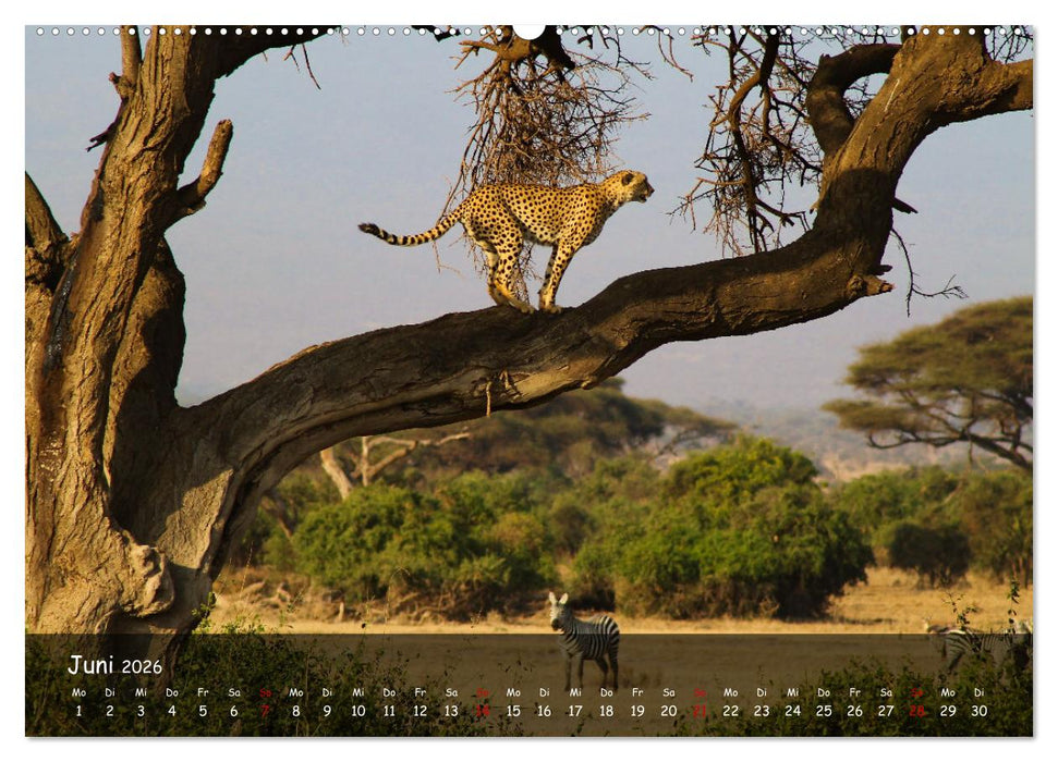 Wildes Ostafrika - Tansania und Kenia hautnah (CALVENDO Wandkalender 2026)