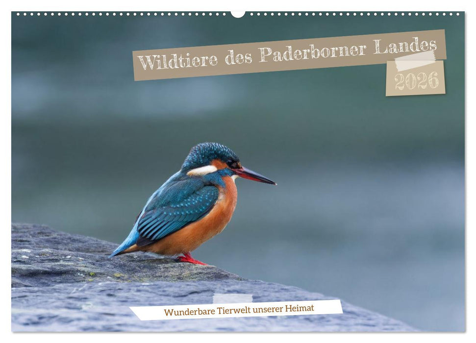 Wildtiere des Paderborner Landes (CALVENDO Wandkalender 2026)