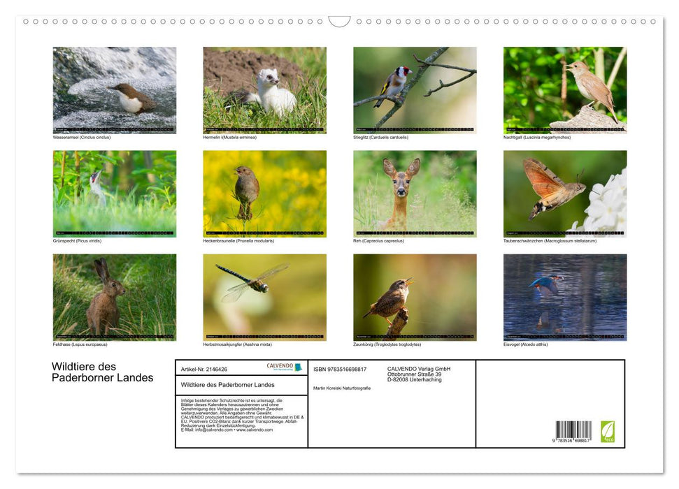Wildtiere des Paderborner Landes (CALVENDO Wandkalender 2026)