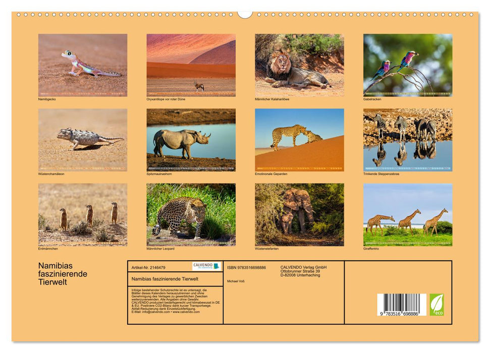 Namibias faszinierende Tierwelt (CALVENDO Premium Wandkalender 2026)