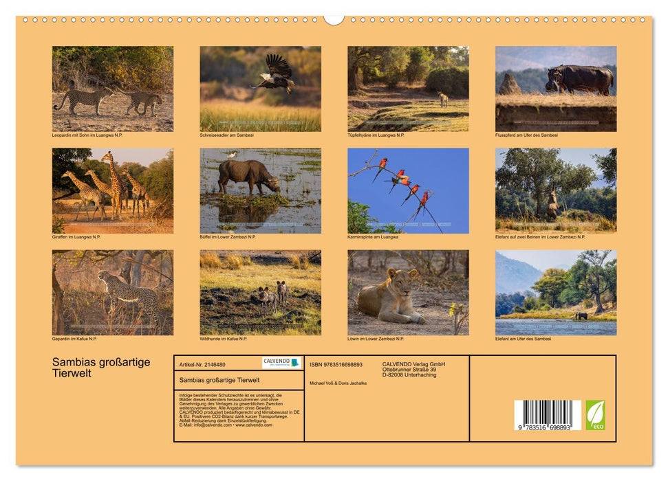 Sambias großartige Tierwelt (CALVENDO Premium Wandkalender 2026)