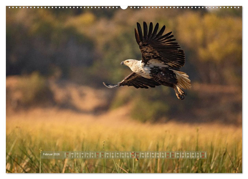 Sambias großartige Tierwelt (CALVENDO Premium Wandkalender 2026)