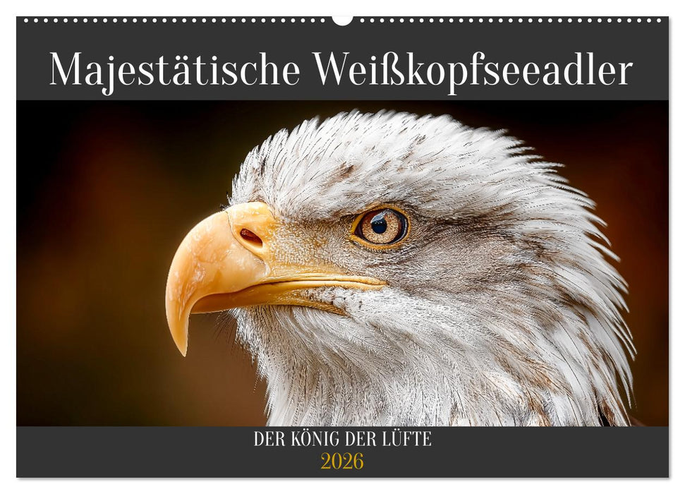 Majestätische Weißkopfseeadler - Der König der Lüfte (CALVENDO Wandkalender 2026)