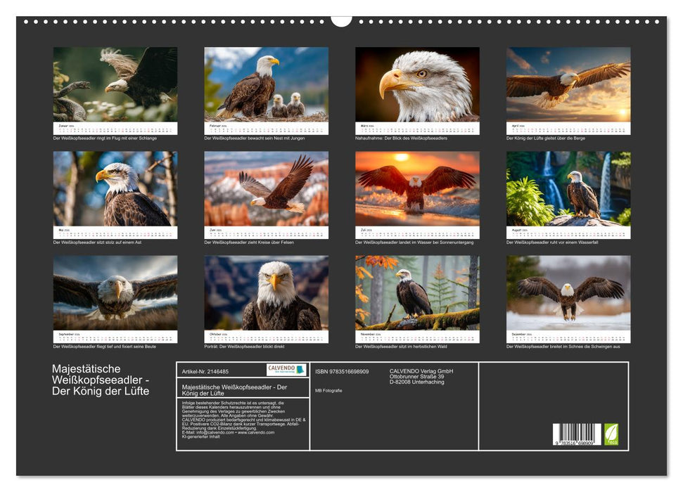 Majestätische Weißkopfseeadler - Der König der Lüfte (CALVENDO Wandkalender 2026)