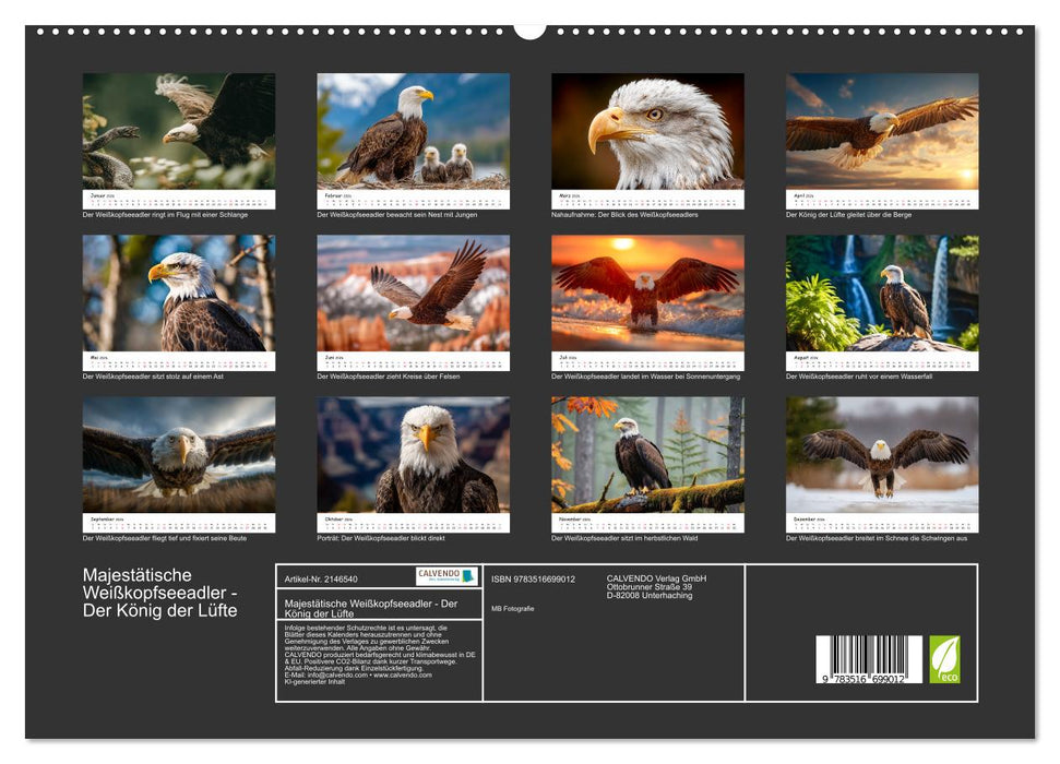 Majestätische Weißkopfseeadler - Der König der Lüfte (CALVENDO Premium Wandkalender 2026)