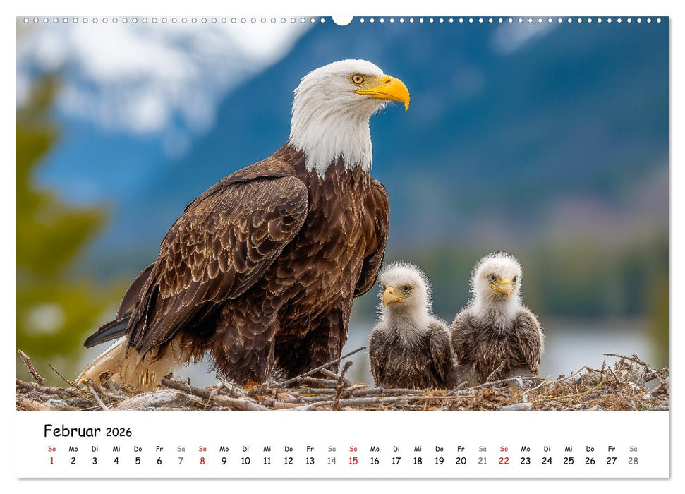 Majestätische Weißkopfseeadler - Der König der Lüfte (CALVENDO Premium Wandkalender 2026)
