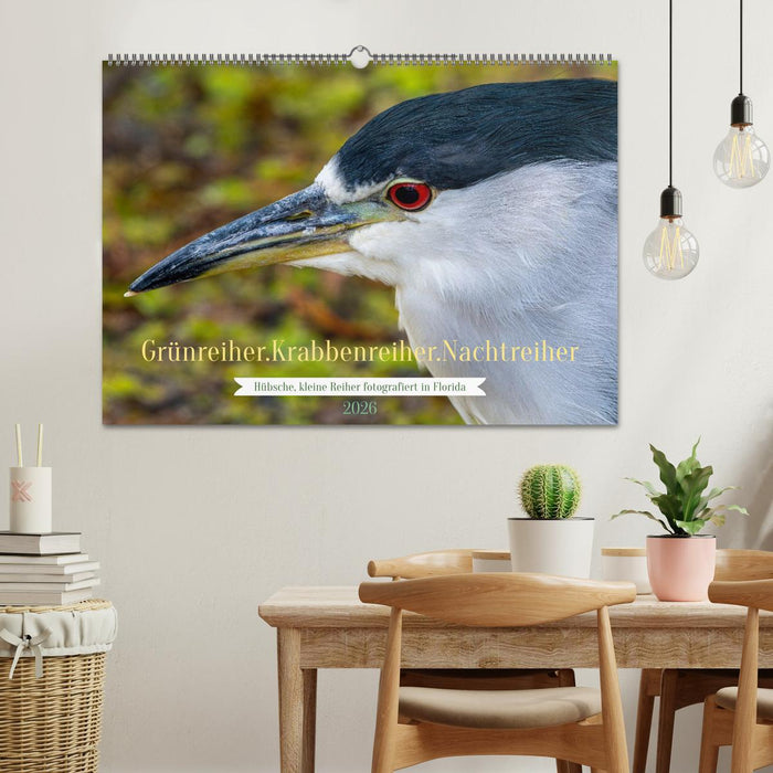 Grünreiher - Krabbenreiher - Nachtreiher (CALVENDO Wandkalender 2026)