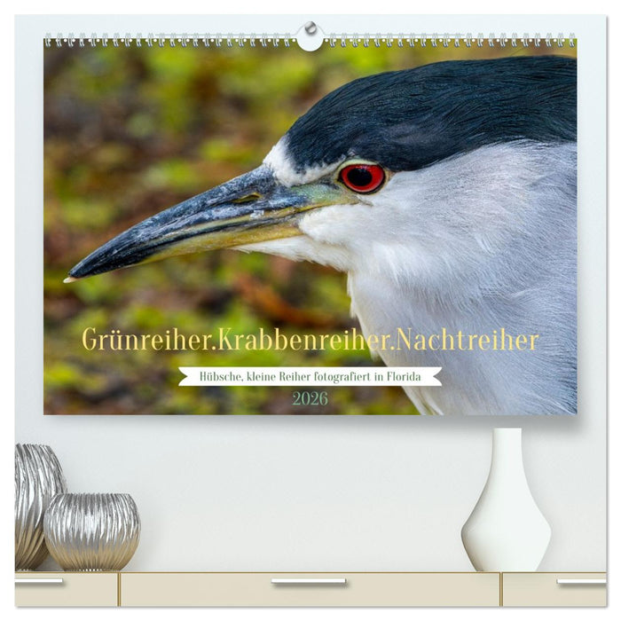 Grünreiher - Krabbenreiher - Nachtreiher (CALVENDO Premium Wandkalender 2026)