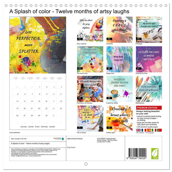 A Splash of color - Twelve months of artsy laughs (CALVENDO Monthly Calendar 2026)