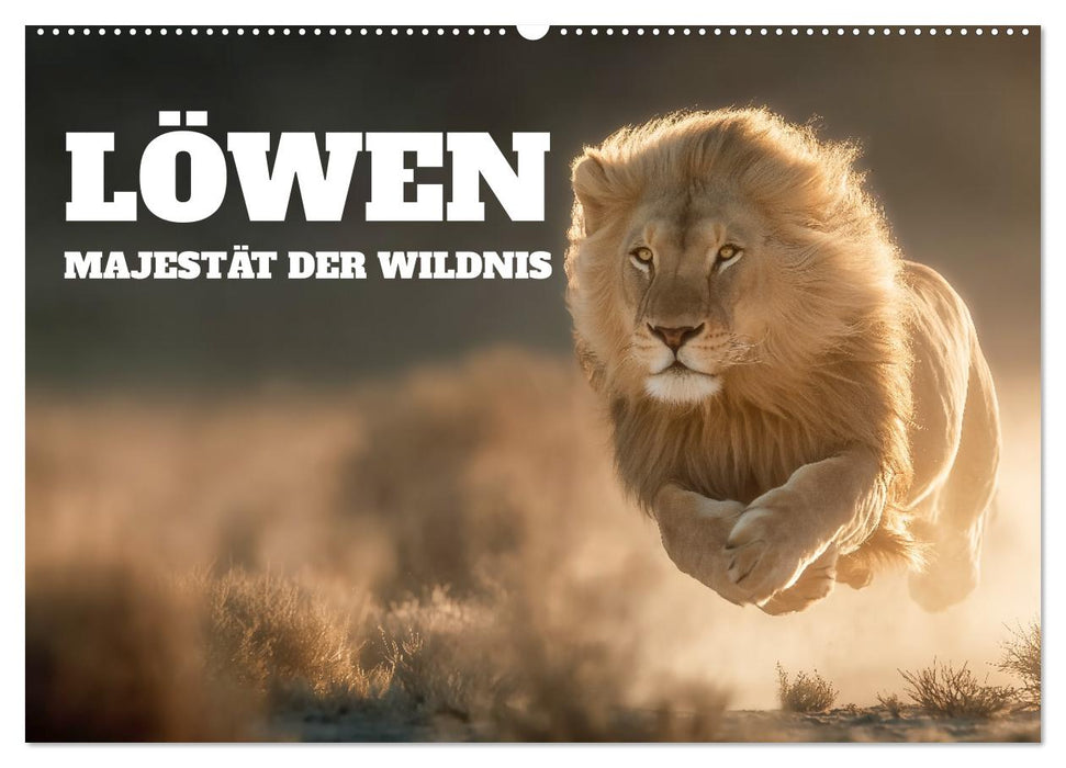 Löwen - Majestät der Wildnis (CALVENDO Wandkalender 2026)