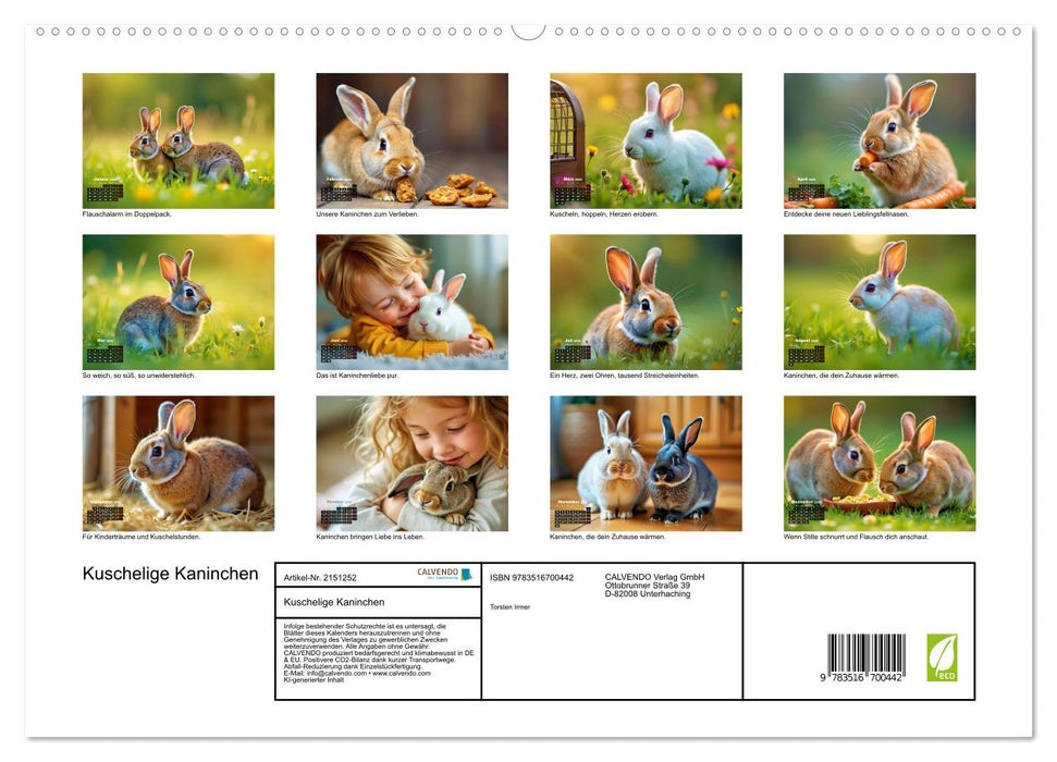 Kuschelige Kaninchen (CALVENDO Premium Wandkalender 2026)