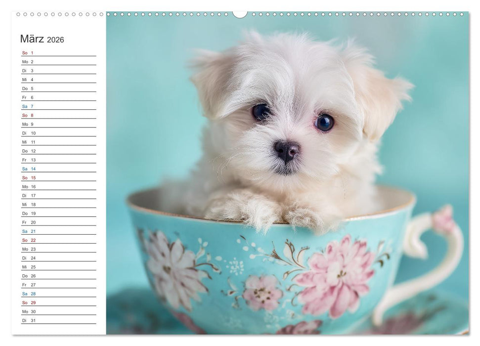 Hundeglück (CALVENDO Wandkalender 2026)
