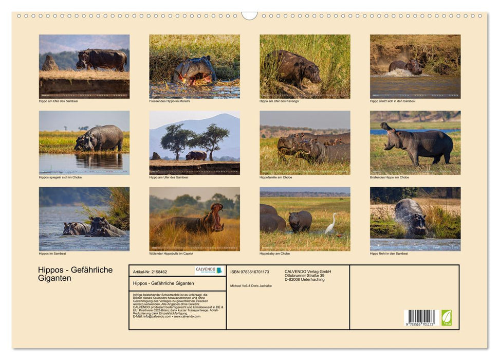Hippos - Gefährliche Giganten (CALVENDO Wandkalender 2026)