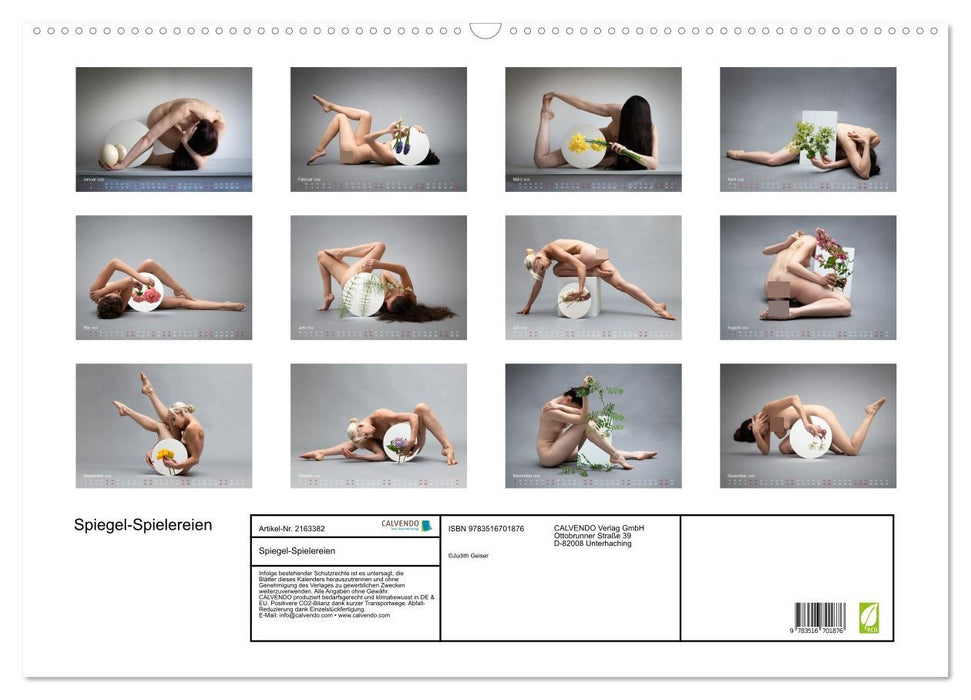 Spiegel-Spielereien (CALVENDO Wandkalender 2026)