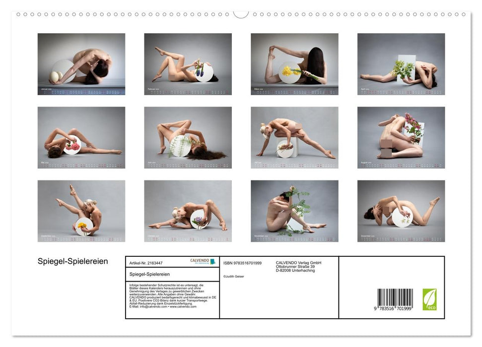Spiegel-Spielereien (CALVENDO Premium Wandkalender 2026)