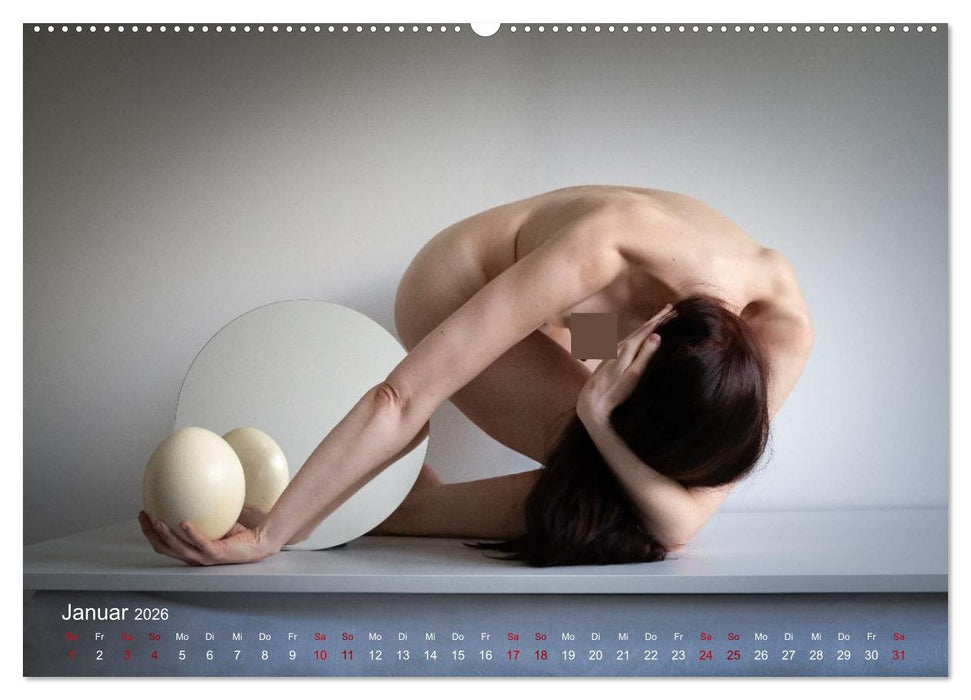 Spiegel-Spielereien (CALVENDO Premium Wandkalender 2026)