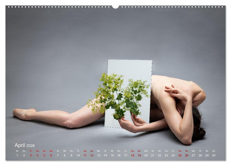 Spiegel-Spielereien (CALVENDO Premium Wandkalender 2026)