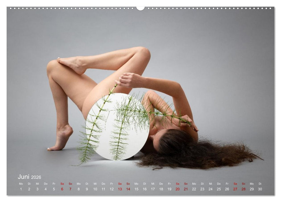 Spiegel-Spielereien (CALVENDO Premium Wandkalender 2026)