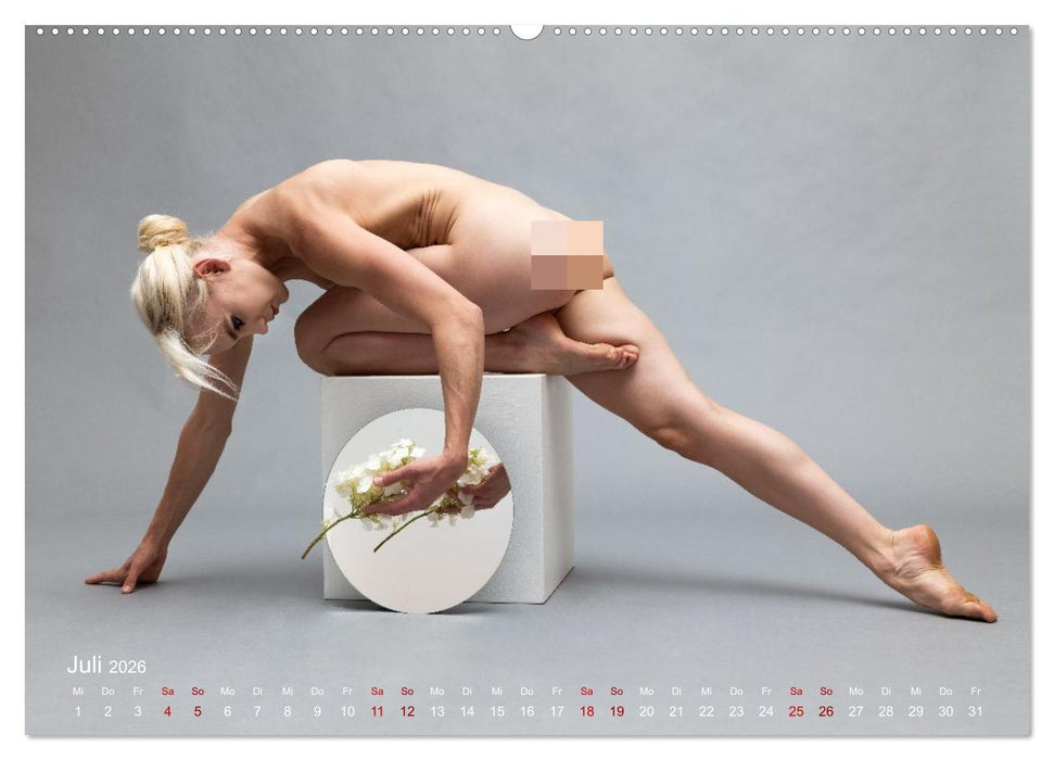 Spiegel-Spielereien (CALVENDO Premium Wandkalender 2026)