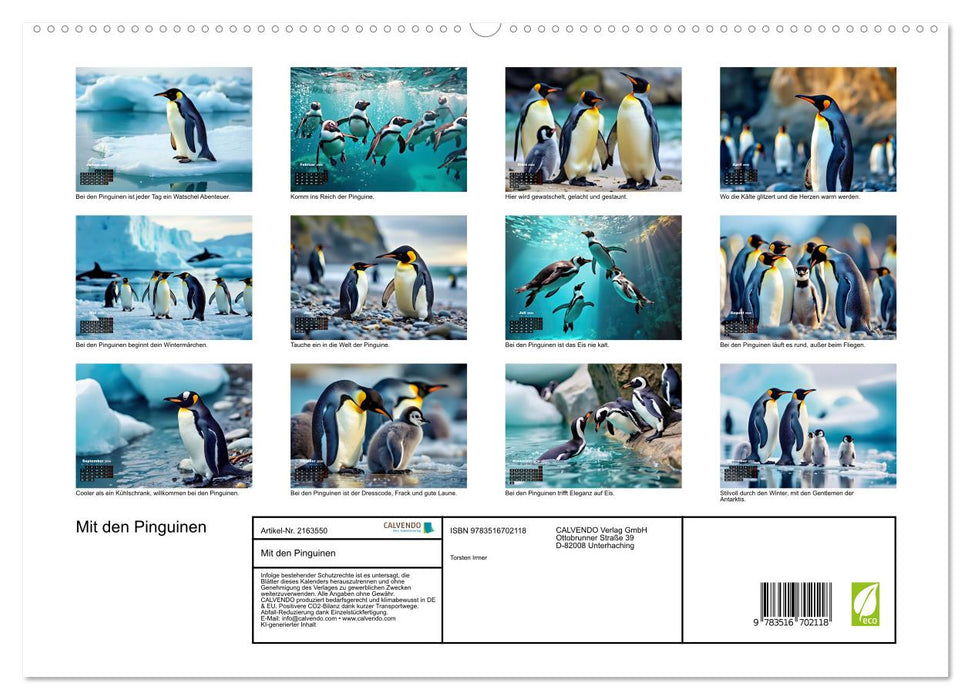 Mit den Pinguinen (CALVENDO Premium Wandkalender 2026)