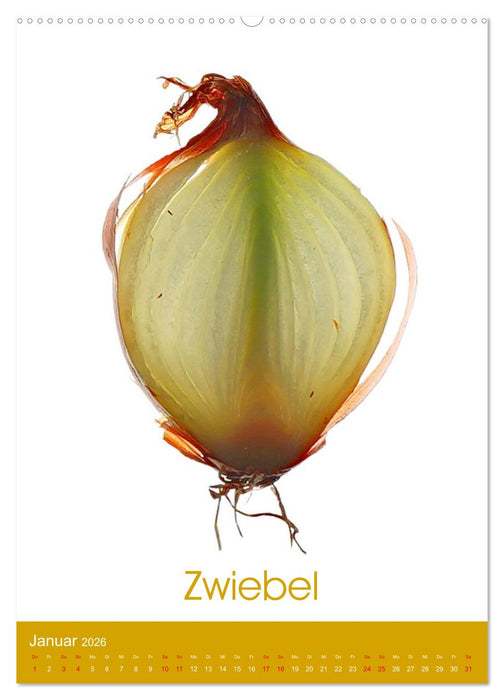 Leuchtende Genüsse (CALVENDO Premium Wandkalender 2026)