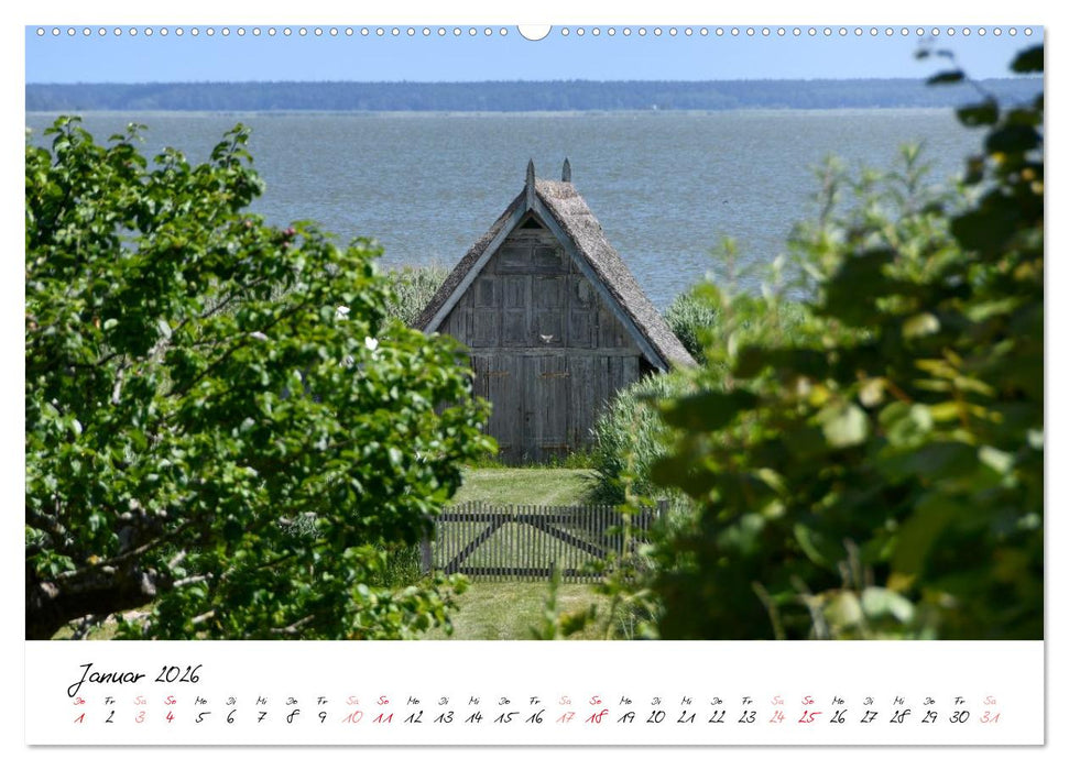 Ostsee-Strand (CALVENDO Premium Wandkalender 2026)