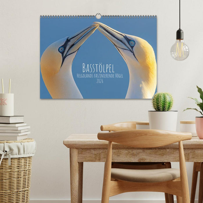 Basstölpel - Helgolands faszinierende Vögel (CALVENDO Wandkalender 2026)