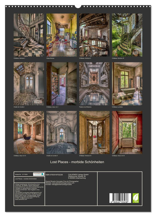 Lost Places - morbide Schönheiten (CALVENDO Premium Wandkalender 2026)