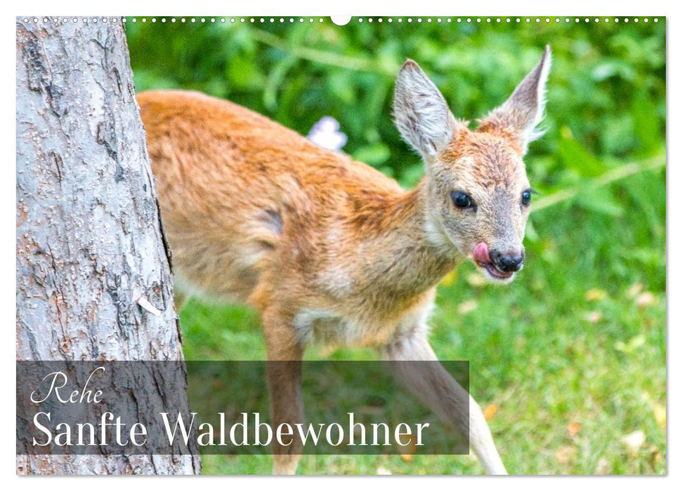 Rehe - Sanfte Waldbewohner (CALVENDO Wandkalender 2026)