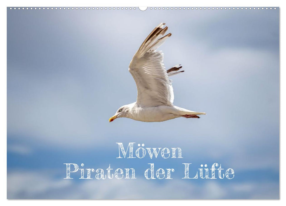 Möwen Piraten der Lüfte (CALVENDO Wandkalender 2026)