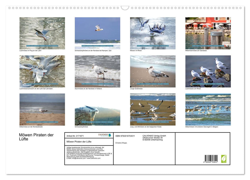 Möwen Piraten der Lüfte (CALVENDO Wandkalender 2026)