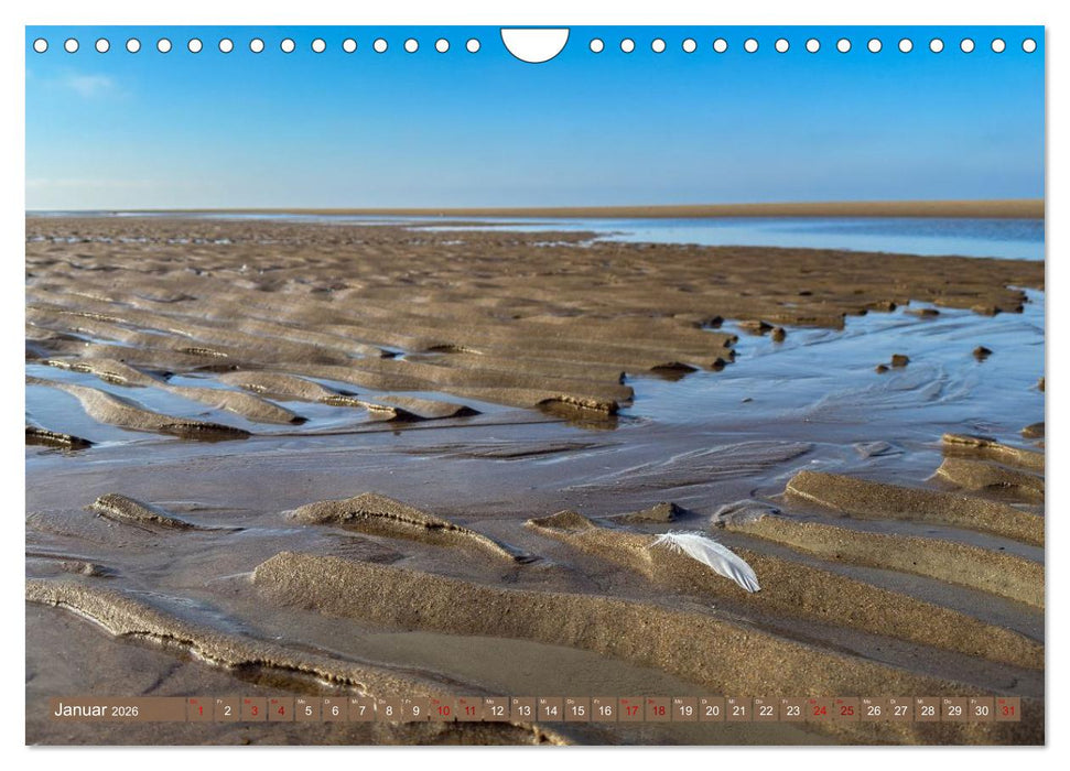 Augenblicke der Ruhe (CALVENDO Wandkalender 2026)