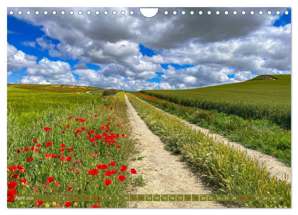 Augenblicke der Ruhe (CALVENDO Wandkalender 2026)