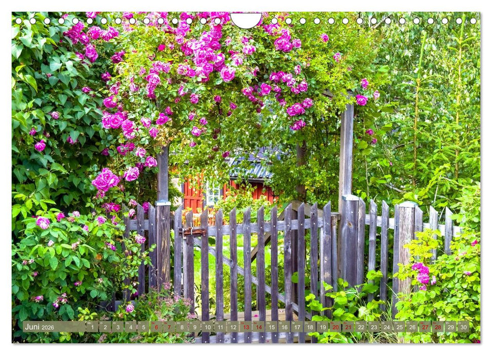 Augenblicke der Ruhe (CALVENDO Wandkalender 2026)